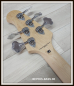 Preview: Lakland Skyline 55-02 Deluxe, Translucent Purple Gloss